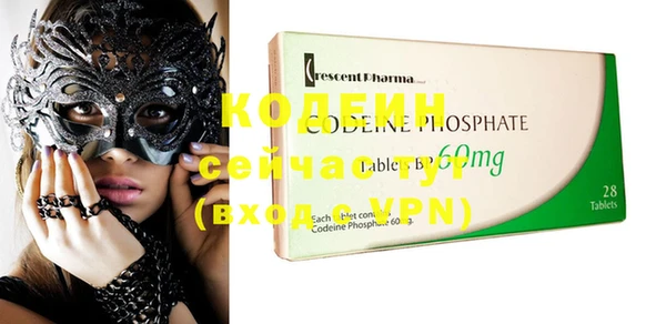 ECSTASY Бородино