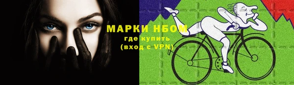прущая мука Богородицк