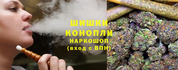 ECSTASY Бородино