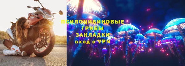 прущая мука Богородицк