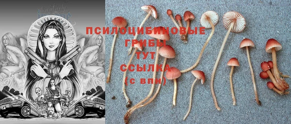 прущая мука Богородицк